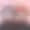 エースとデュース