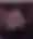 みゆ