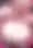 ヴァルキサ